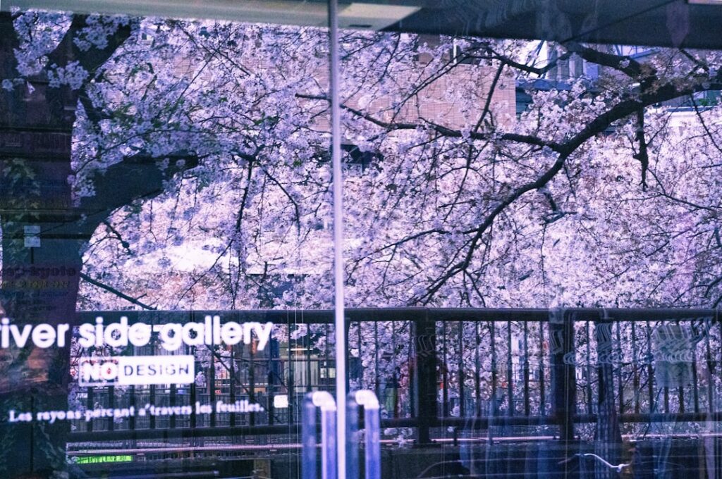 Digital Signage Content Strategy: A Practical Guide for IT Teams